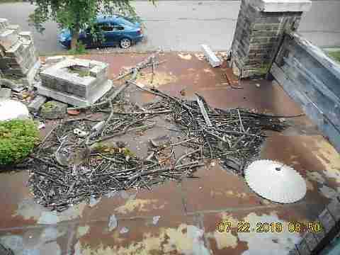 2003 Virginia Park (34)_m.jpg